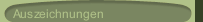 Auszeichnungen